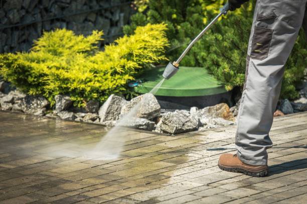 Best Boat and Dock Cleaning  in Rosemont, CA