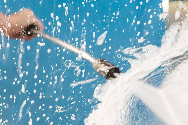 Animal Enclosure Cleaning in Rosemont, CA