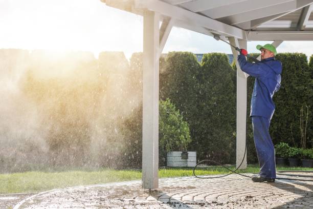 Best Paint Preparation  in Rosemont, CA