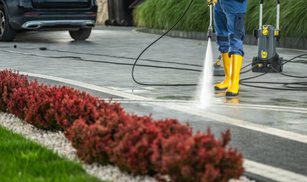Best Sidewalk and Walkway Cleaning  in Rosemont, CA
